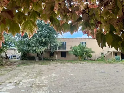 an old building with a tree in front of it at El Freixe de l'Ylla in Els Hostalets