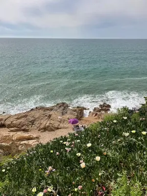 a person with a purple umbrella on the beach at Flat with birdsongs & character! in Calella