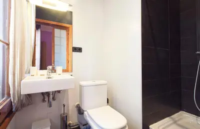 a bathroom with a toilet and a sink and a mirror at Catalunya Executive 3 bedrooms, 3 bathrooms AC wifi in Barcelona