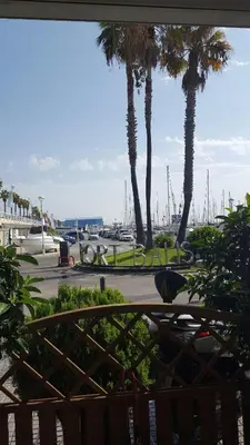 a view of a marina with palm trees at Vistas al mar y garaje cerca de BCN in Sant Vicenç de Montalt