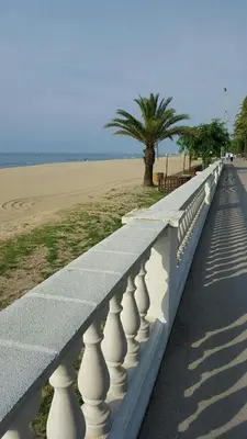 a white fence next to a beach with a palm tree at Oasis cerca de Barcelona in Sant Vicenç de Montalt