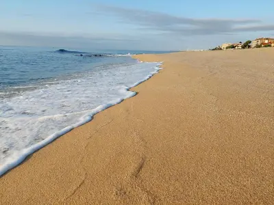 a sandy beach with waves coming in from the ocean at Oasis cerca de Barcelona in Sant Vicenç de Montalt