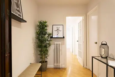 a hallway with a radiator and a potted plant at Gran Vía Suites in Barcelona
