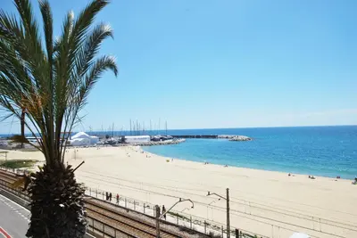 a beach with a palm tree and the ocean at Premia Palm View in Premiá de Mar