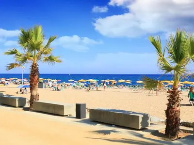 a beach with palm trees and people on the beach at Seafront Apartment in Calella with Beach Access in Calella