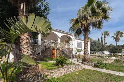 a house with a palm tree in front of it at Ibiza style villa with swimming pool near Sitges in Cunit