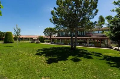 a tree in the grass in front of a building at Mas de la Sala in Sallent del Llobregat