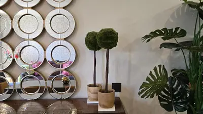 a bunch of plates on a wall with plants at Opening Doors Summer Chic in Barcelona