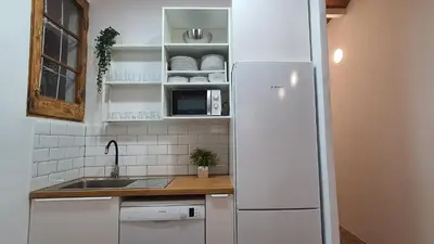 a kitchen with a white refrigerator and a sink at Miro Park céntrico 5pax in Barcelona