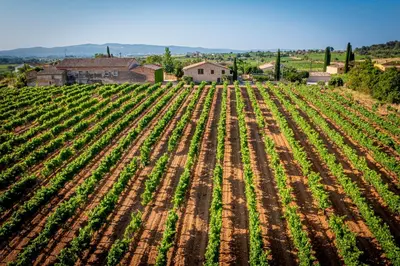 an empty field of crops on a farm at Cal Magí in San Martín Sarroca