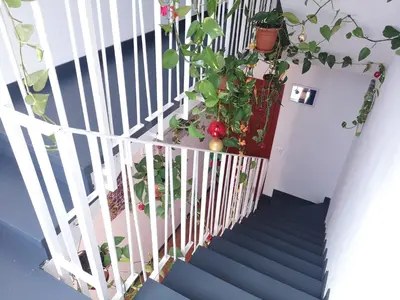 an overhead view of a staircase with potted plants at La Casa de Vacaciones in Terrassa