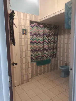 a bathroom with a shower curtain and a toilet at Habitación grande con balcón y mucha luz in Barcelona
