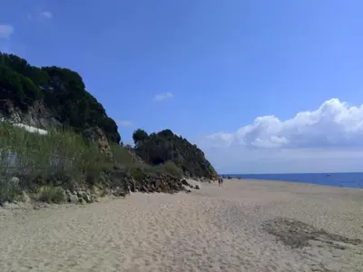 a sandy beach next to the ocean with trees at Bungalow in Canet de Mar near Scenic Beach in Canet de Mar