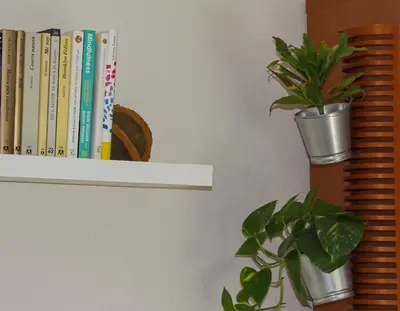 a book shelf with a potted plant on it at Refugio verde con encanto in Vallirana
