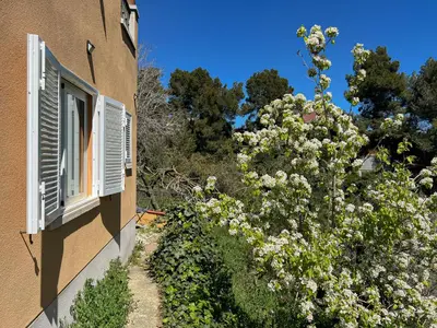 a building with a window and a bush of flowers at Refugio verde con encanto in Vallirana
