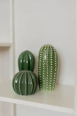 two green cactuses sitting on a shelf at Estudio con encanto en Barcelona in Barcelona