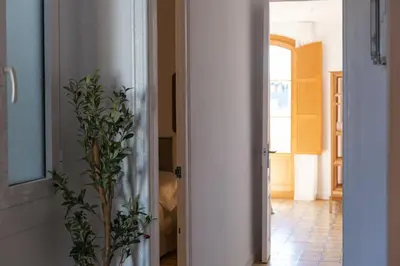 a hallway with a door with a plant in it at Barcelona - Gracia 4-B in Barcelona