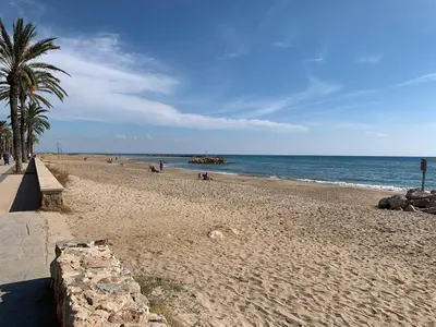 a sandy beach with a palm tree and the ocean at Atico espectacular Cunit in Cunit