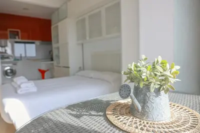 a table with a vase with a plant on it at ApartEasy - Lovely Atic in Barcelona in Barcelona