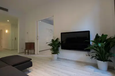 a living room with two potted plants and a flat screen tv at Roger De Lluria Design Apartment in Barcelona
