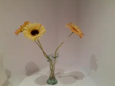 three flowers in a vase on a table at Apartaments Mare Nostrum in Sitges