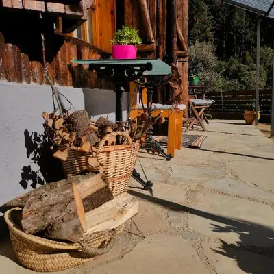 a basket of logs and a table with a plant in it at El Roserar Cabaña de Madera y Caravana Vintage Parque Natural del Montseny in Montseny