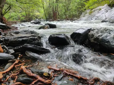 a stream of water in a river with rocks at El Roserar Cabaña de Madera y Caravana Vintage Parque Natural del Montseny in Montseny