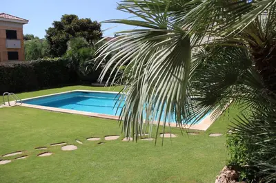 a swimming pool in a yard with a palm tree at Modern Apartment Lily close to beach with Com Pool and AC in Sitges