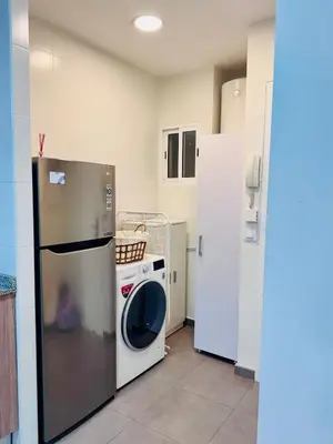 a kitchen with a refrigerator and a washing machine at Apartamento Lauda 2 in Hospitalet de Llobregat