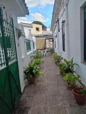 an alley with potted plants and a green gate at Casa EMILIO in Olesa de Montserrat