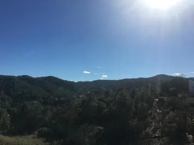 a view of a forest with the sun in the sky at Family-friendly house 20' from Barcelona in Castellví de Rosanés
