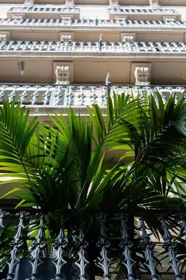a pair of palm trees in front of a building at Hotel Well and Come Barcelona in Barcelona