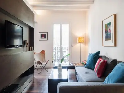 a living room with a couch and a tv at Design Apartment in Barcelona in Barcelona