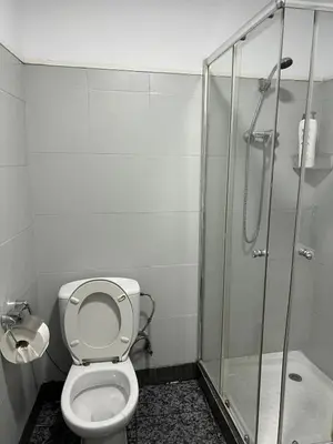 a bathroom with a toilet and a shower at Habitaciones Carmen in Rubí