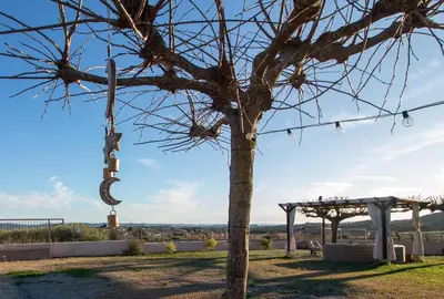a tree with a tire hanging from it at Masía con encanto para parar y desconectar in Castellví de la Marca