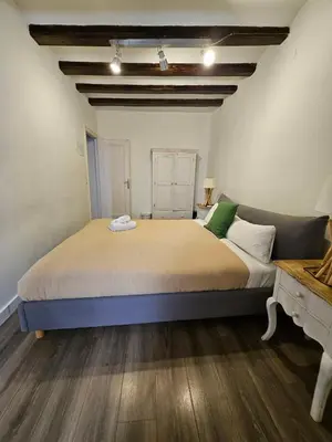 a bedroom with a large bed in a room at Five Room Family Flat Near Ramblas in Barcelona
