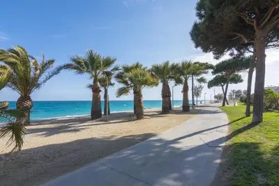 a sidewalk with palm trees on the beach at HomeHolidaysRentals Pinedalovers - Costa Barcelona in Pineda de Mar
