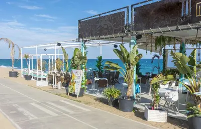 a group of potted plants on the beach at HomeHolidaysRentals Magic - Costa Barcelona in Pineda de Mar