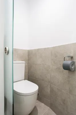 a bathroom with a toilet and a roll of toilet paper at Casa De Poble Termes Romanes in Caldes de Montbui