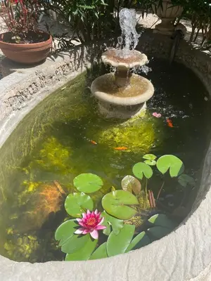 a water fountain with a pink flower in a pond at Villa Modernista in Barcelona