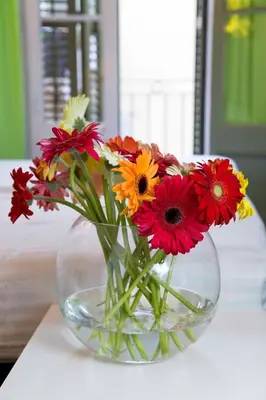 a vase filled with colorful flowers sitting on a table at Central and Basic Universitat for YOUNG HOSTEL in Barcelona