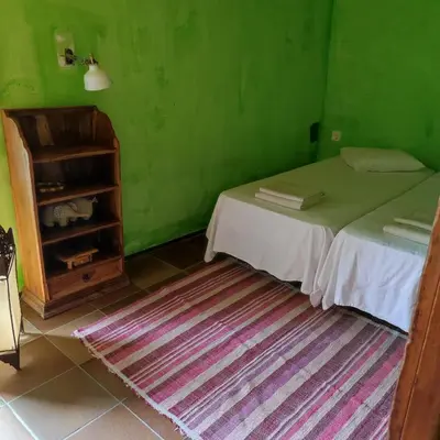 a green room with a bed and a shelf at El Terral in Sant Vicenç de Montalt