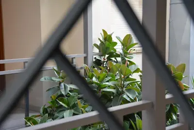a plant on a balcony with a window at Apartamento Flavia I Espalter in Sitges