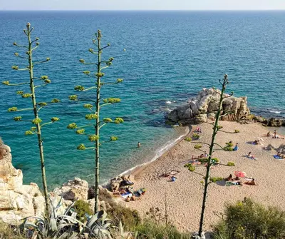 a beach with people laying on the sand and the water at Raco d'en Pepe in Calella
