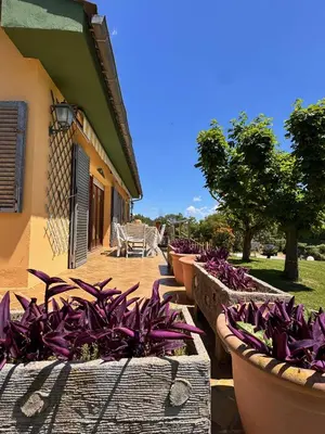 a row of planters with purple flowers in them at Finca La Pedrera in Capellades