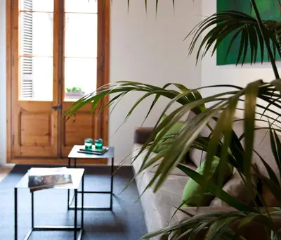 a living room with a plant and two tables at Centric Gracia Apartments in Barcelona
