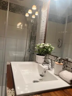 a bathroom sink with a potted plant on it at Apartment Oliver in Calella