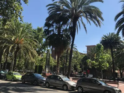a group of cars parked on a street with palm trees at Nova Mar Bella Apartment in Barcelona