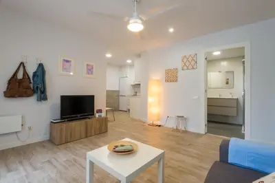a living room with a couch and a tv and a table at Apartamento Manent in Premiá de Mar