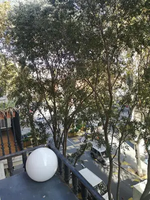 a white ball sitting on a balcony with trees at ApartEasy - Family Sant Antoni apt. in Barcelona